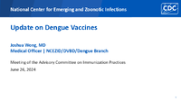 Update on Dengue Vaccines