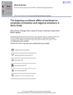 The Lingering Curvilinear Effect of Workload on Employee Rumination and Negative Emotions A Diary Study