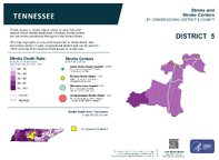 TN Congressional District 05 Stroke and Stroke Centers Map 118th Congress