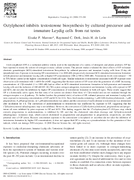 Octylphenol Inhibits Testosterone Biosynthesis by Cultured Precursor and Immature Leydig Cells from Rat Testes