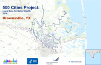 500 Cities Project Local Data for Better Health 2016 Brownsville TX