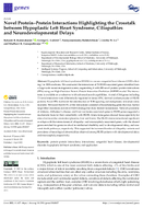 Novel ProteinProtein Interactions Highlighting the Crosstalk Between Hypoplastic Left Heart Syndrome Ciliopathies and Neurodevelopmental Delays