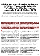 Highly Pathogenic Avian Influenza AH5N1 Virus Clade 2344b Infections in Wild Terrestrial Mammals United States 2022