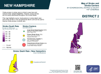 NH Congressional District 02 Stroke and Stroke Centers Map 119th Congress