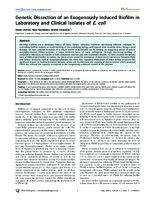 Genetic Dissection of an Exogenously Induced Biofilm in Laboratory and Clinical Isolates of E coli