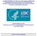 Meeting of the Advisory Council for the Elimination of Tuberculosis June 2526 2024 Hybrid Record of the proceedings