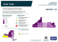 NY Congressional District 23 Stroke and Stroke Centers Map 118th Congress