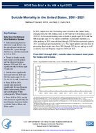 Suicide Mortality in the United States 20012021