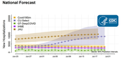 New hospitalizations National Forecast