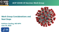 Work Group considerations and next steps