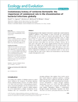 Evolutionary history of ratborne Bartonella the importance of commensal rats in the dissemination of bacterial infections globally