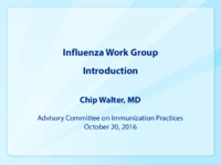 Influenza Work Group introduction