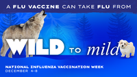 A Flu Vaccine Can Take Flu from Wild to Mild National Influenza Vaccination Week December 48 WolfDog 01