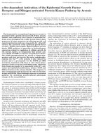 CSrcDependent Activation of the Epidermal Growth Factor Receptor and MitogenActivated Protein Kinase Pathway by Arsenic