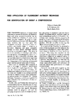 Field application of fluorescent antibody technique for identification of group A streptococcus