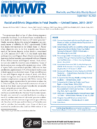 Racial and Ethnic Disparities in Fetal Deaths  United States 20152017