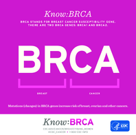 KnowBRCA
