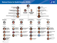 National Center for Health Statistics NCHS Organization Chart