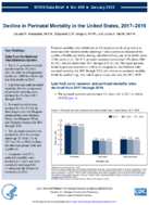 Decline in Perinatal Mortality in the United States 20172019