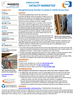 Agriculture Fatality Narrative Slaughterhouse Worker Crushed in Cattle Chute Door