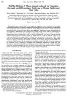 MAPKs Mediate S Phase Arrest Induced by Vanadate Through a p53Dependent Pathway in Mouse Epidermal C141 Cells