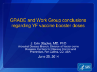 GRADE and Work Group conclusions regarding YF vaccine booster doses