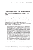 Crocidolite Induces Cell Transformation and p53 Gene Mutation in BALBC3T3 Cells