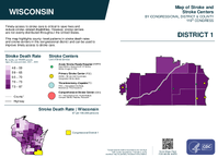 WI Congressional District 01 Stroke and Stroke Centers Map 119th Congress
