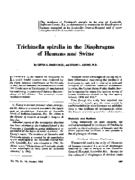 Trichinella spiralis in the diaphragms of humans and swine