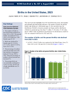 Births in the United States 2023
