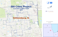 500 Cities Project Local Data for Better Health 2014 Schaumburg IL