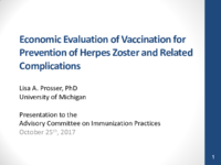 Economic Evaluation of Vaccination for Prevention of Herpes Zoster and Related Complications