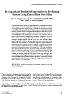 Biological and Statistical Approaches to Predicting Human Lung Cancer Risk from Silica