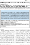 IFITM3 Inhibits Influenza A Virus Infection by Preventing Cytosolic Entry