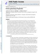 Particleguided Image Registration