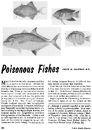 Poisonous fishes