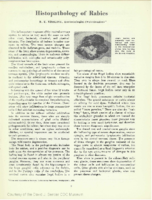 Histopathology of rabies