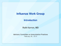 Influenza Work Group introduction