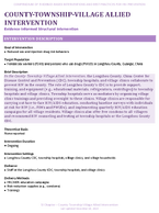 COUNTYTOWNSHIPVILLAGE ALLIED INTERVENTION
