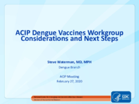 ACIP Dengue Vaccines Workgroup considerations and next steps