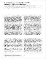 Nuclear envelope breakdown is under nuclear not cytoplasmic control in sea urchin zygotes