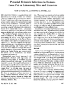 Potential helminth infections in humans from pet or laboratory mice and hamsters