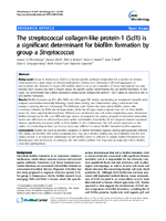 The streptococcal collagenlike protein1 Scl1 is a significant determinant for biofilm formation by group a Streptococcus