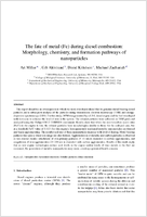 The Fate of Metal Fe During Diesel Combustion Morphology Chemistry and Formation Pathways of Nanoparticles