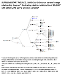 Supplementary Figure 2 SARSCoV2 Omicron Variant Lineage Relationship Diagram Illustrating Relative Relationship of BA286 With Other SARSCoV2 Omicron Variants