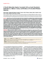 A Novel Adenovirus Species Associated with an Acute Respiratory Outbreak in a Baboon Colony and Evidence of Coincident Human Infection