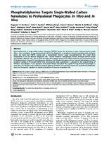 Phosphatidylserine Targets SingleWalled Carbon Nanotubes to Professional Phagocytes In Vitro and In Vivo
