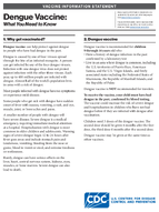 Dengue Vaccine What You Need to Know 2025