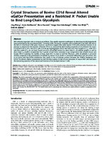 Crystal Structures of Bovine CD1d Reveal Altered GalCer Presentation and a Restricted A Pocket Unable to Bind LongChain Glycolipids
