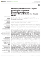 Mitoapocynin Attenuates Organic Dust ExposureInduced Neuroinflammation and SensoryMotor Deficits in a Mouse Model